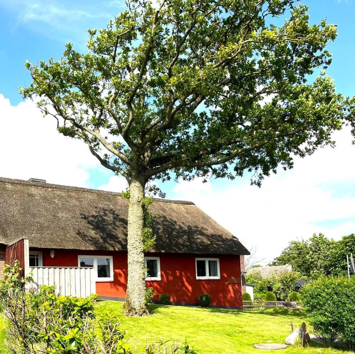 Haus Hanna Dagebuell Ngoại thất bức ảnh